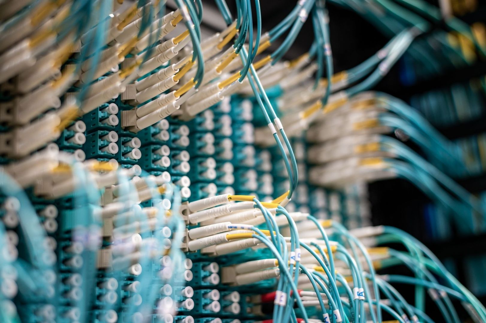 Dense fiber-optic patch panel with turquoise and white cables